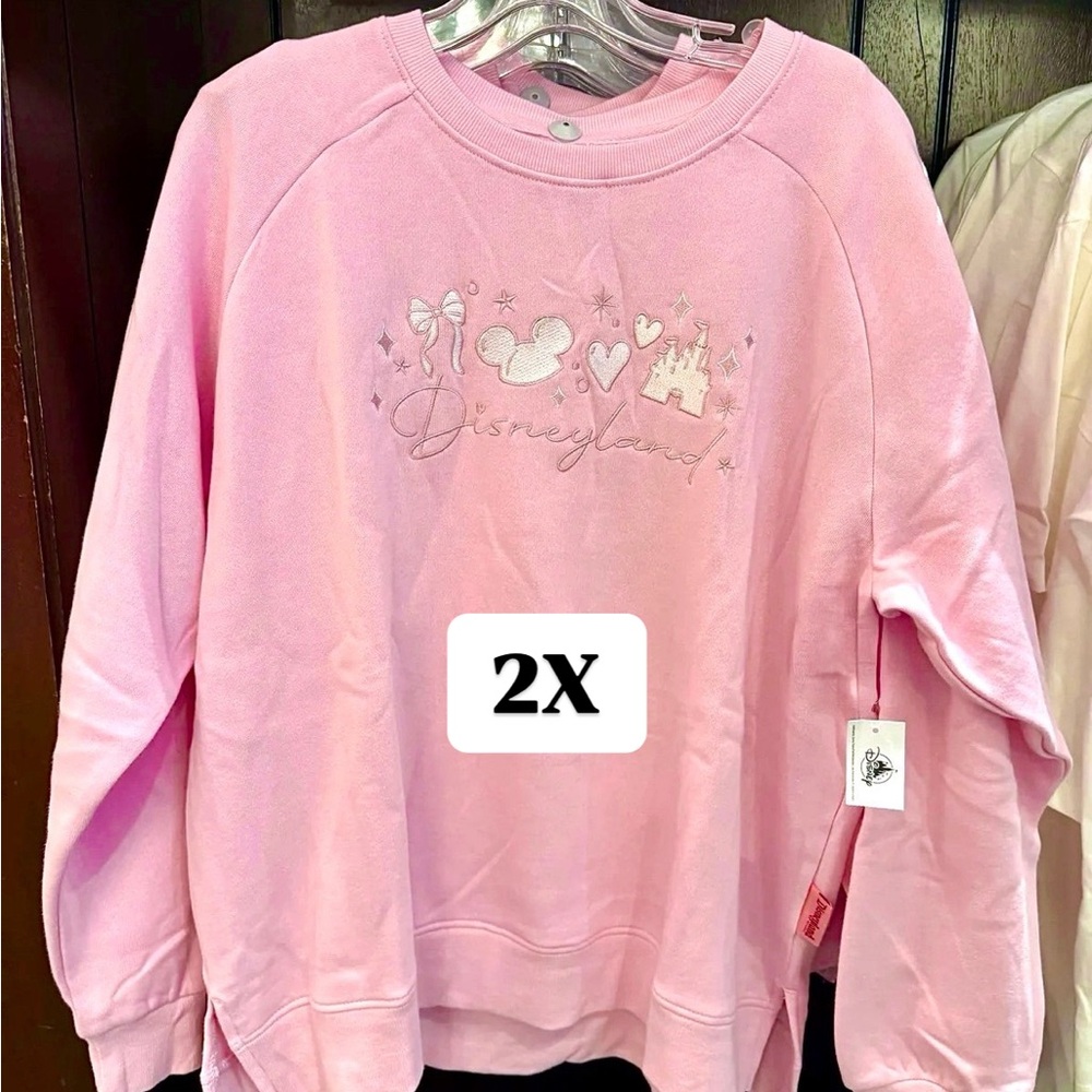 2025 Disney Parks Pink Sweatshirt 2X